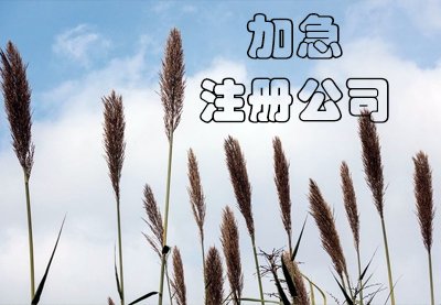 上海公司注冊流程是怎樣的？